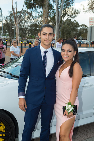 LakeGFormal2017-Arrivals-011